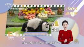 新爸爸妈妈贪图的男人